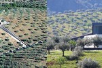 Collage with aerial view of former building of the Open Science Platform and the upcycled Open Science Platform.