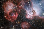 Cosmic Dragon Breathes New Life into the Night Sky