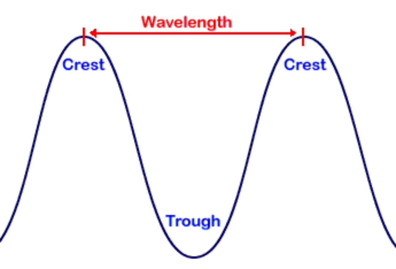 What shop is wavelength